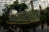 leipzig zoo-01_07_2011_gondwanaland_076